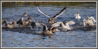 Résultat de recherche: Les jeux de l'oie