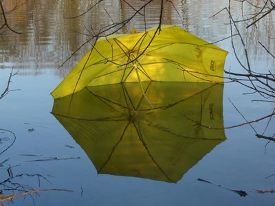 Il protège vraiment