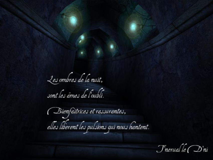 Les Ombres de la Nuit