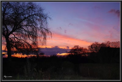 Résultat de recherche: Le repos du soleil
