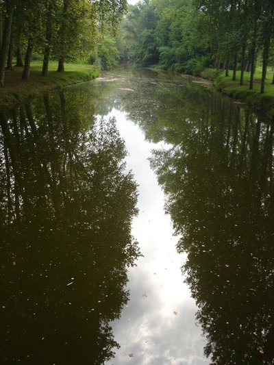 Œuvre de miette: Landes . Promenade reposante