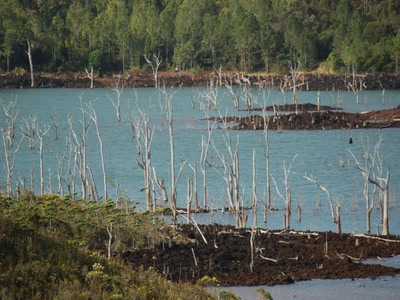 Résultat de recherche: lac de yaté NC