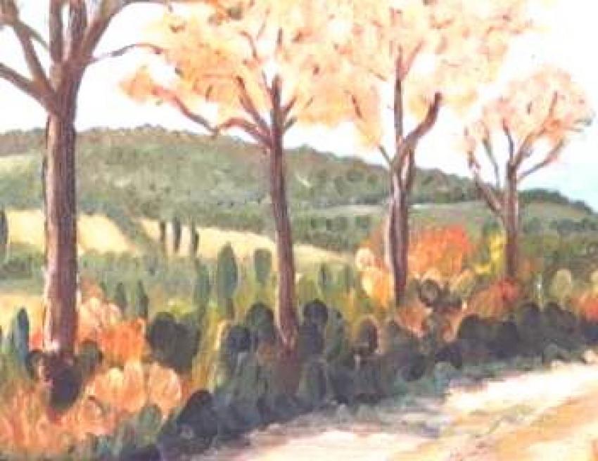 en Fenouillède , l'automne