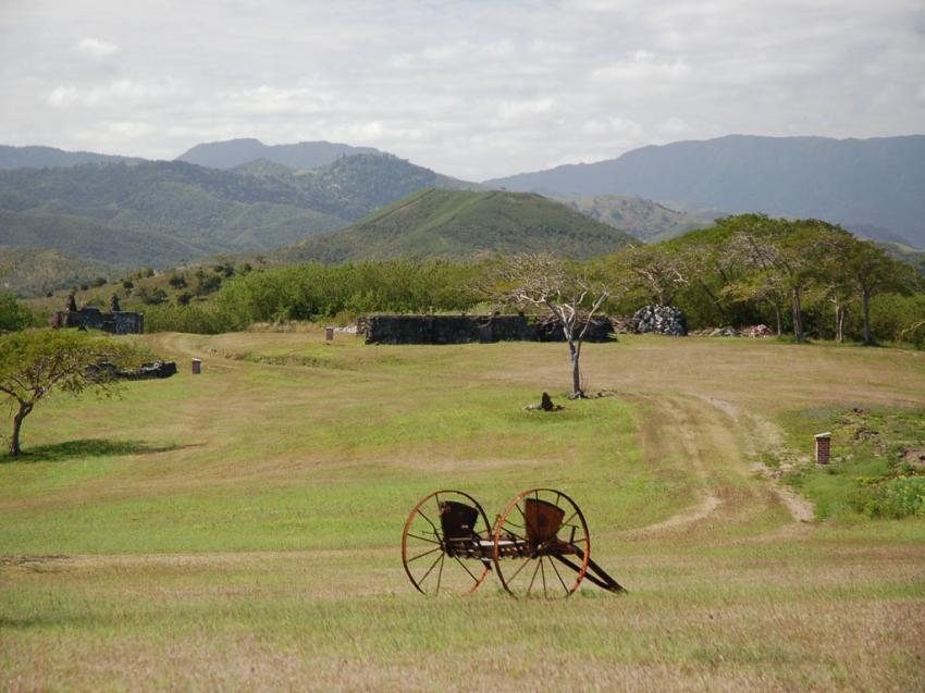 prairie calédonienne