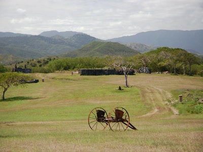 Résultat de recherche: prairie calédonienne