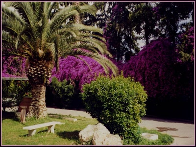 Résultat de recherche: Parc à Corinthe (Grèce)