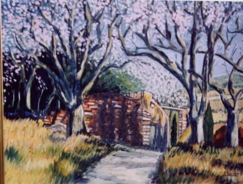 les amandiers  vers Opoul