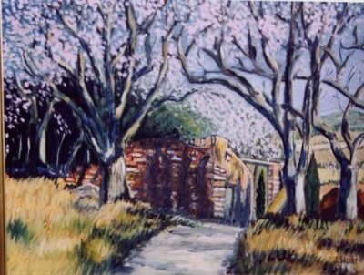 les amandiers  vers Opoul