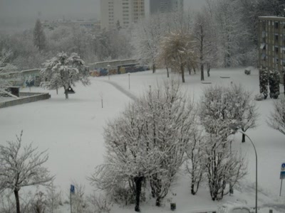 Œuvre de Walkyrie: De  ma fenêtre 2