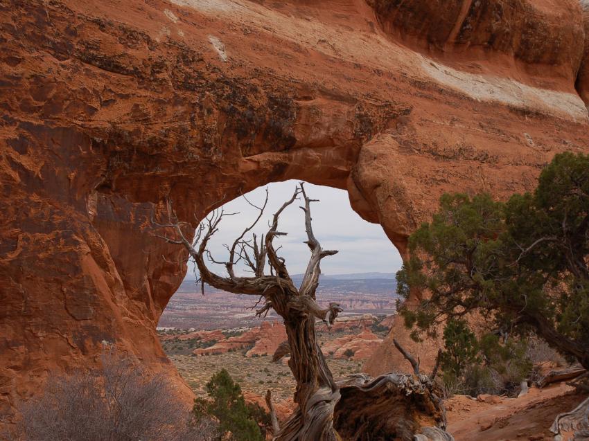 fenêtre sur l'horizon