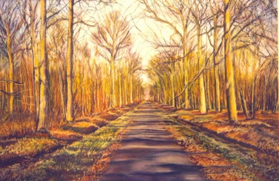 "En forêt de Bonsecours" - Hainaut - Belgique.