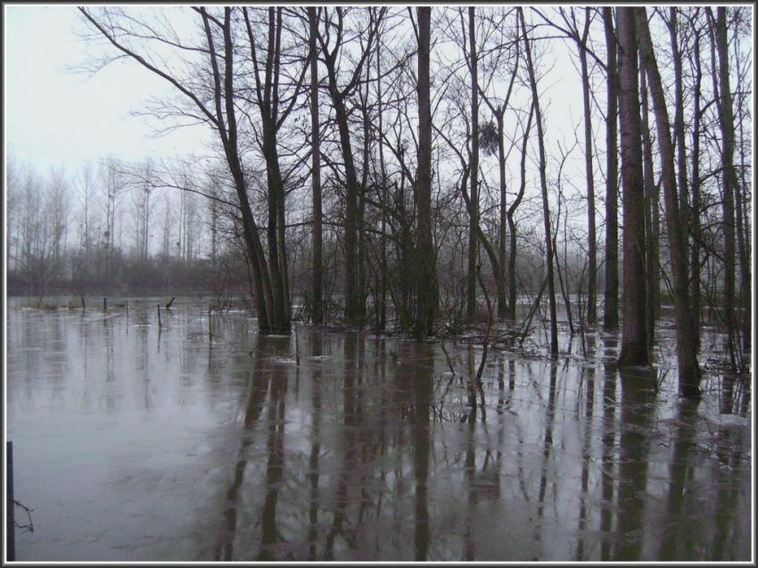 Hiver à Séry-les-Mézières (02)