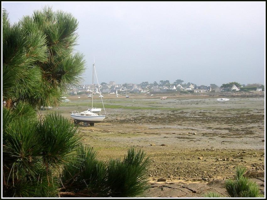 L'Ile Grande (22) à marée basse