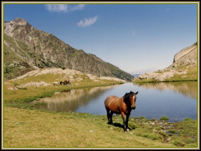 Perspective dans les Pyrénées