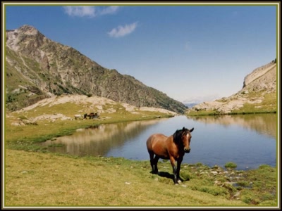 Résultat de recherche: Perspective dans les Pyrénées