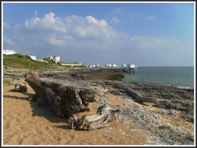 Saint-Palais sur Mer (17)