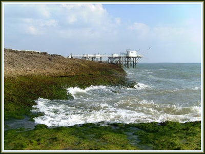 Saint-Palais sur Mer (17)