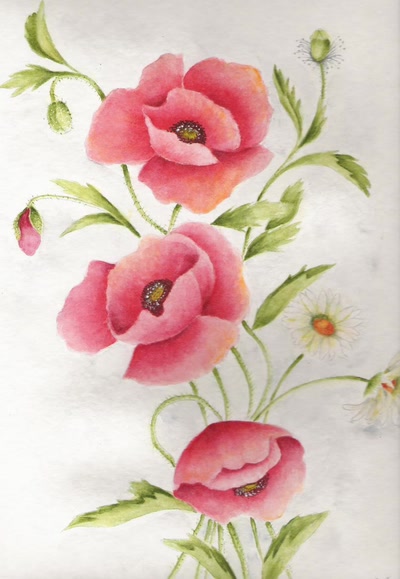 Résultat de recherche: Coquelicots