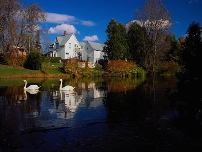 Œuvre de xrar: Nature