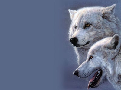 Loups