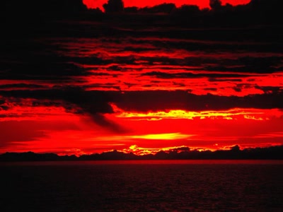 Œuvre de xrar: Nature