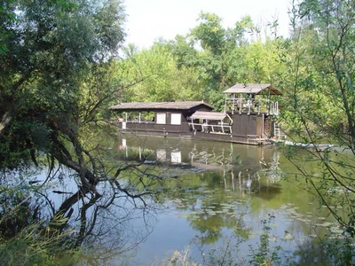 Œuvre de xrar: Nature