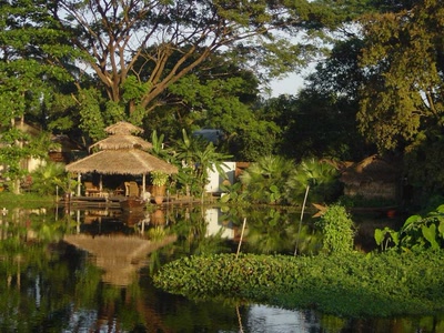 Œuvre de xrar: Nature