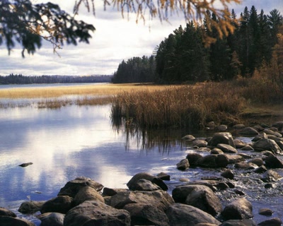 Œuvre de xrar: Nature