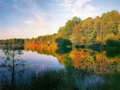 Œuvre de xrar: Nature