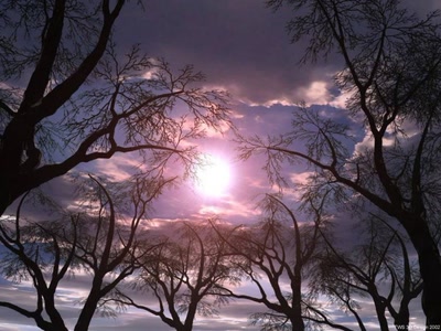 Œuvre de xrar: Nature