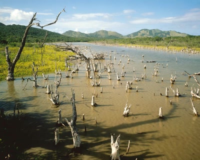 Œuvre de xrar: Nature