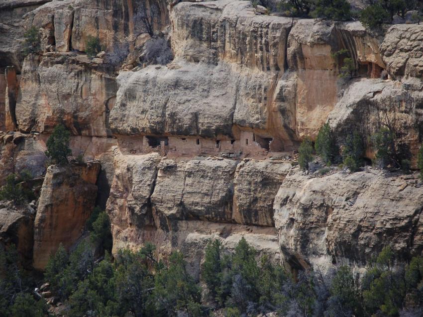 Mésa Verdé Vestiges indiens