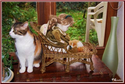 Résultat de recherche: Mouchette au salon