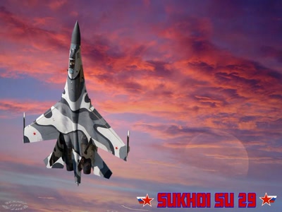 Sukhoi SU 29