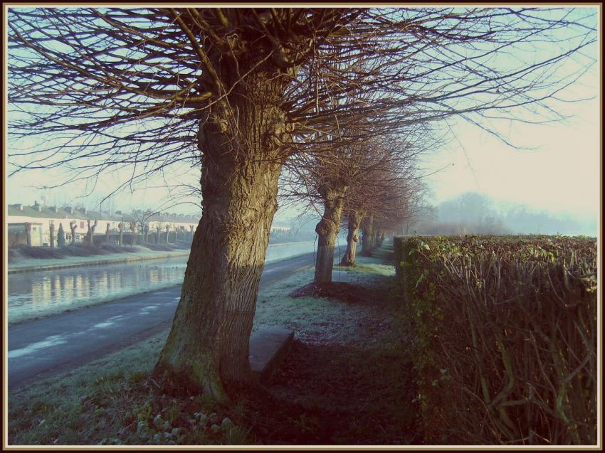 Le long du canal en hiver