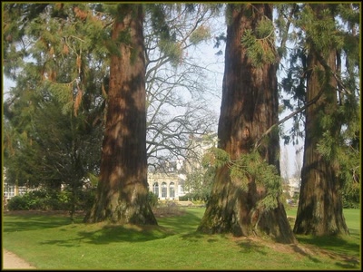 Résultat de recherche: Parc dans Rennes (35)