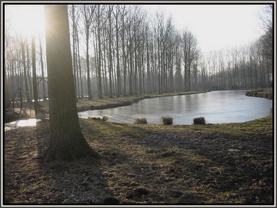 Résultat de recherche: Petit matin d'hiver