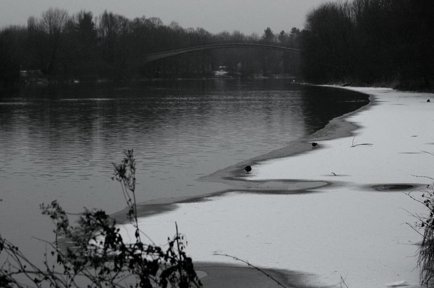 Les" beautés " de l'Ill