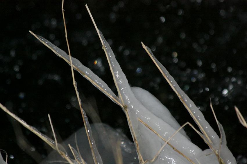 Les" beautés " de l'Ill