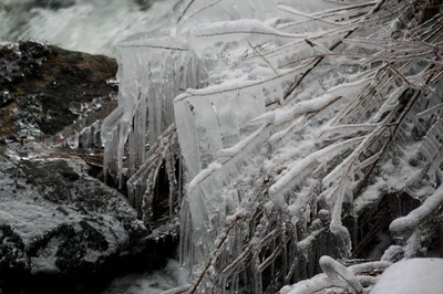 Résultat de recherche: Les" beautés " de l'Ill
