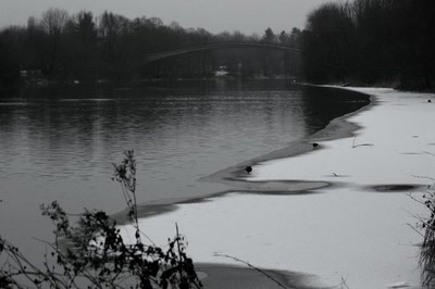 Résultat de recherche: Les" beautés " de l'Ill