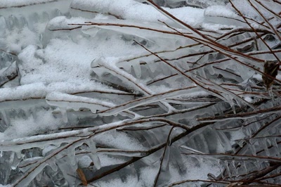 Résultat de recherche: Les" beautés " de l'Ill