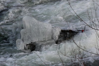 Résultat de recherche: Les" beautés " de l'Ill