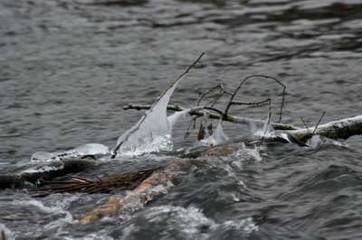 Résultat de recherche: Les" beautés " de l'Ill