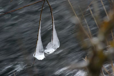 Résultat de recherche: Les" beautés " de l'Ill
