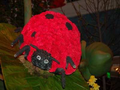 Résultat de recherche: coccinelle en fleurs