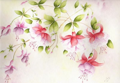 Résultat de recherche: FUSHIAS