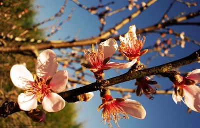 Œuvre de EinKurogane: Destination