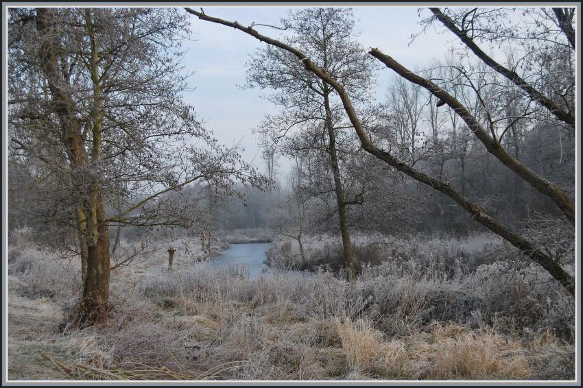 Marais d'Isle à St-Quentin (02)