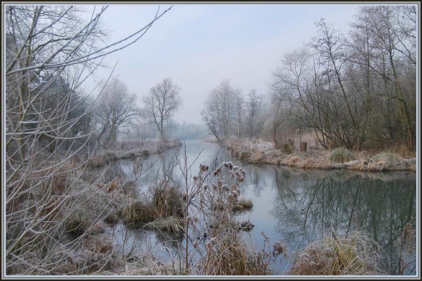 Marais d'Isle à St-Quentin (02)